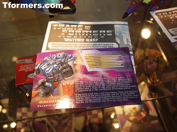 Botcon 2011 Exclusive Toys  (30 of 36)